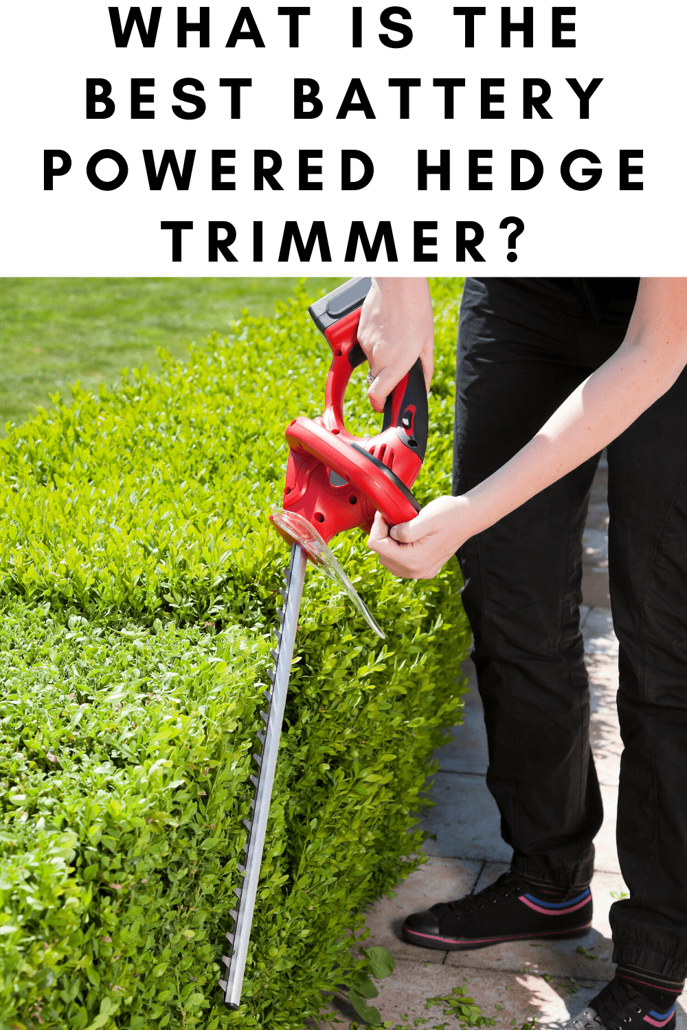 What Is The Best Battery Powered Hedge Trimmer - The All Electric Lawn