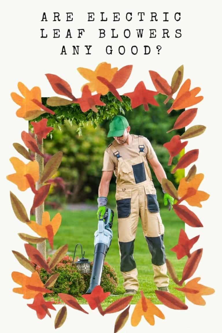 are-electric-leaf-blowers-any-good-completely-explained-the-all