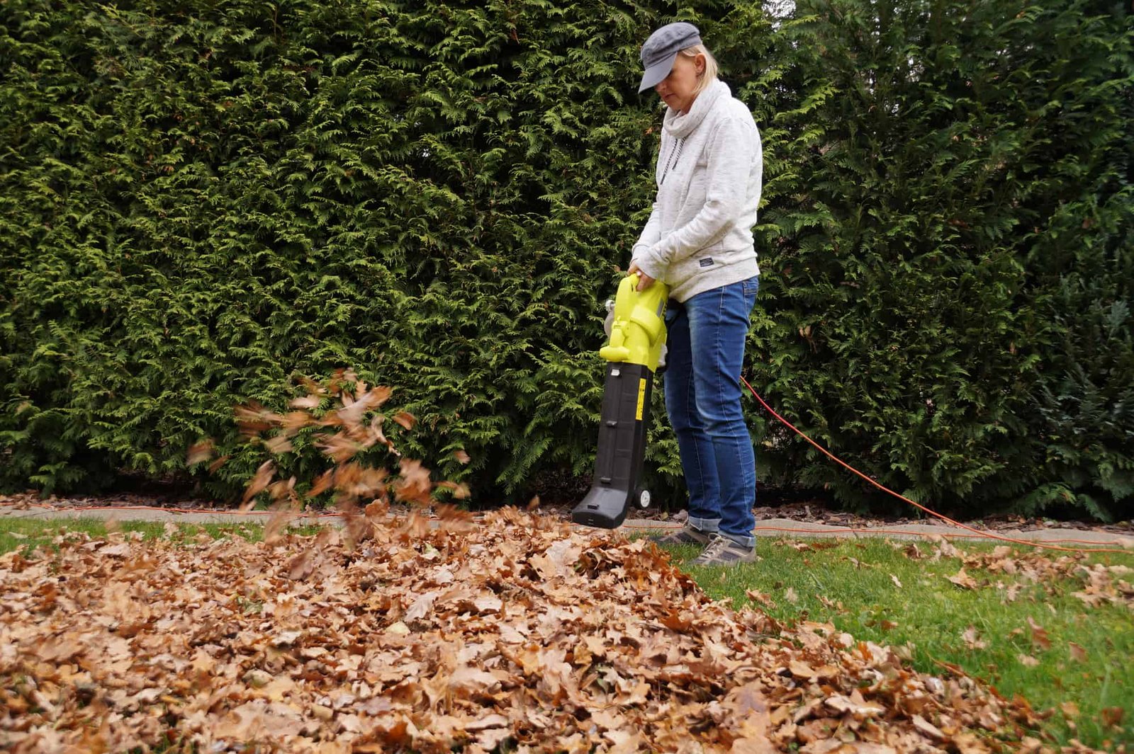 Are Electric Leaf Blowers Good